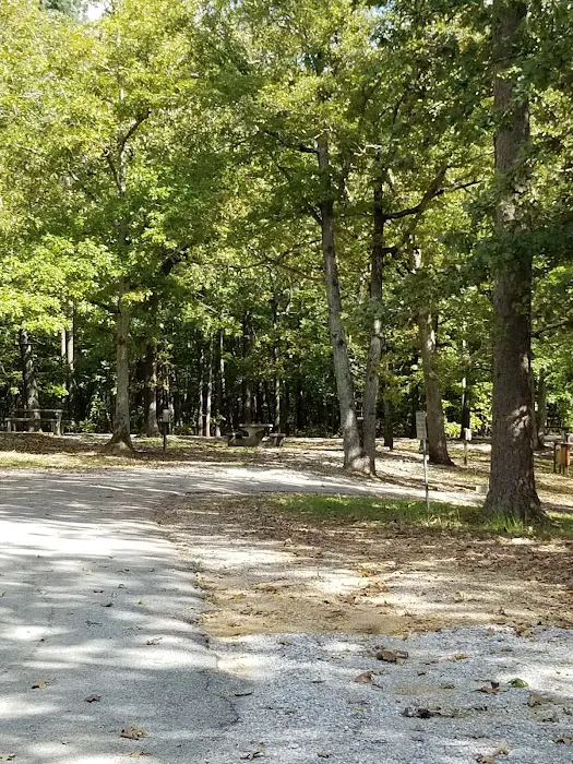 Colbert County Rose Trail Park Picture 1