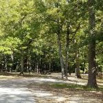 Colbert County Rose Trail Park
