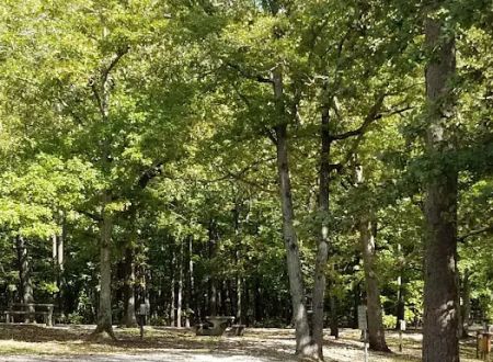 Colbert County Rose Trail Park