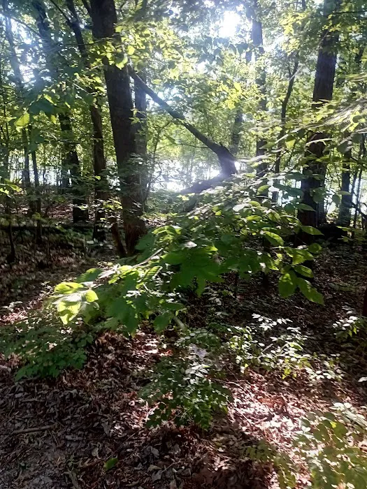 Slickrock Campground Picture 2