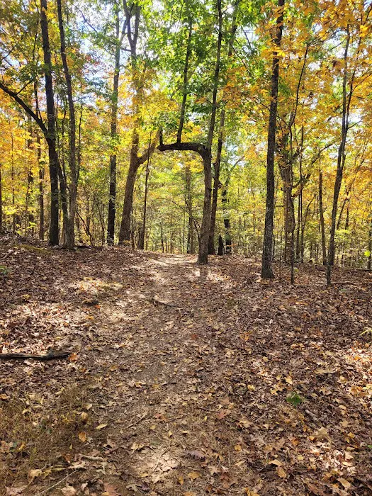 Tishomingo State Park Campground Picture 10
