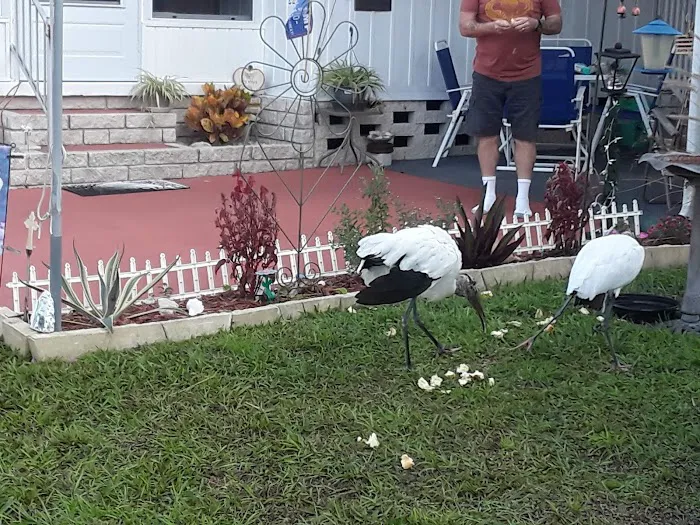 Twelve Oaks Mobile Home Park Picture 5