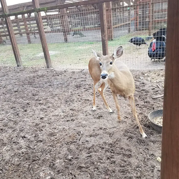 River Ranch RV Rentals Picture 9