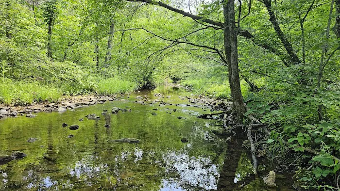 St. Francois State Park Campground Picture 9