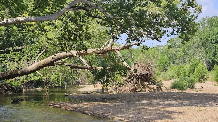St. Francois State Park Campground Picture 5