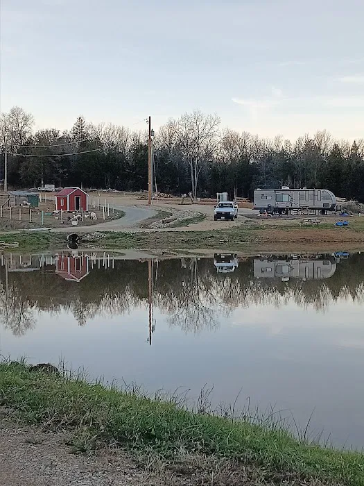 Patt's Place, LLC Picture 4
