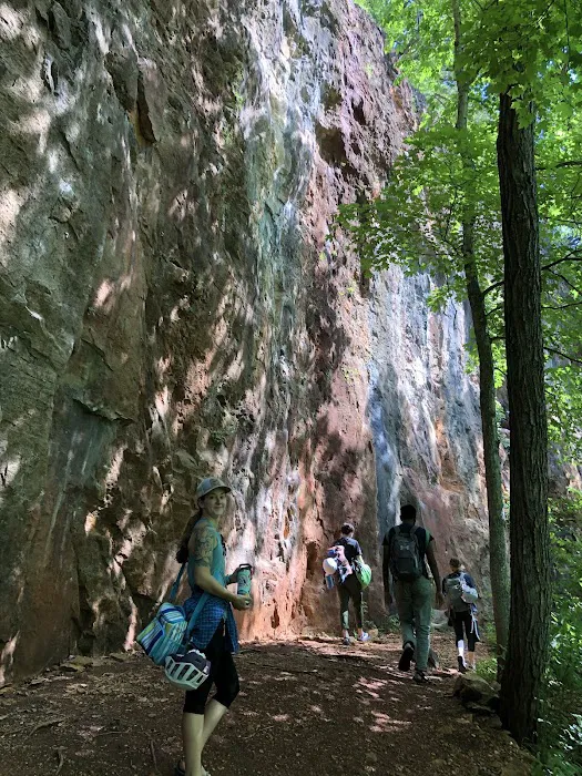 Robinson Bluff Climbing Area Picture 6