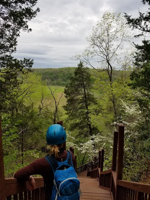 Robinson Bluff Climbing Area Picture 8