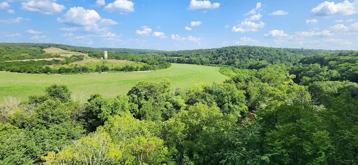 Robinson Bluff Climbing Area Picture 7