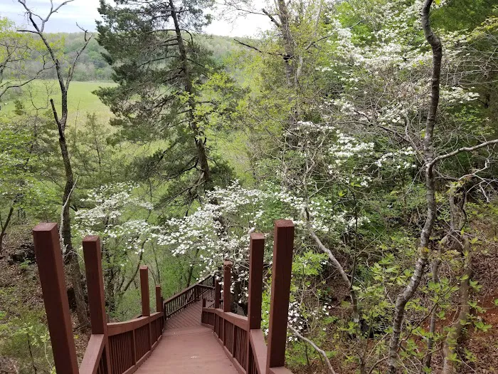 Robinson Bluff Climbing Area Picture 10