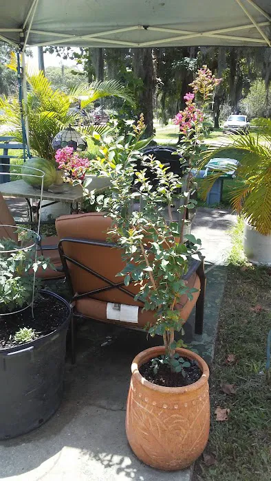 Galaxy Mobile Home Park Picture 10