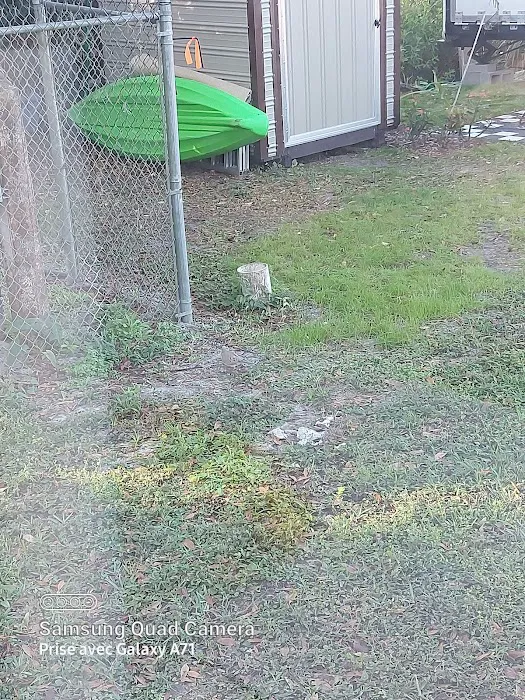 Tampa East RV Resort, The Oaks Picture 6