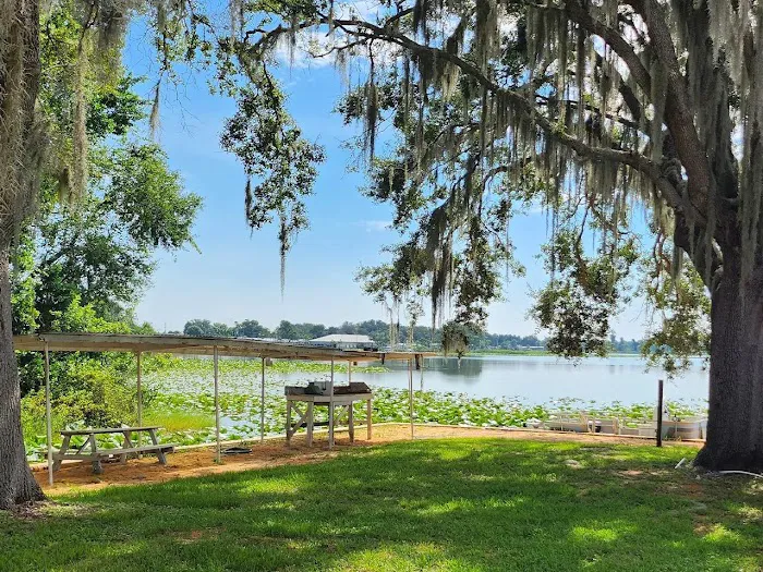 Avon Park Village Picture 7