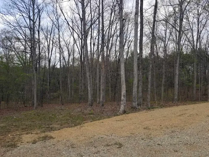 Yokum Ridge Campground Picture 7