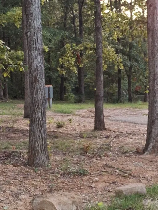 Yokum Ridge Campground Picture 5
