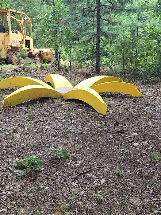 Yokum Ridge Campground Picture 6