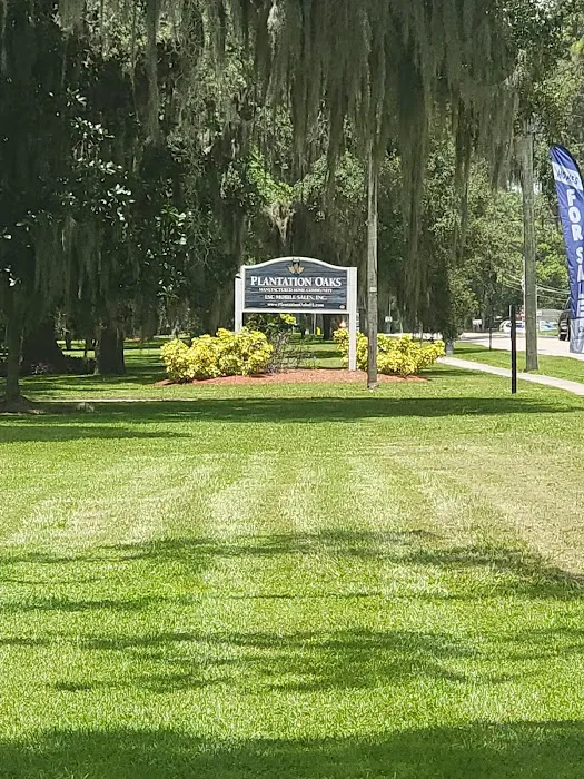 Chateau Forrest and Plantation oaks Picture 2