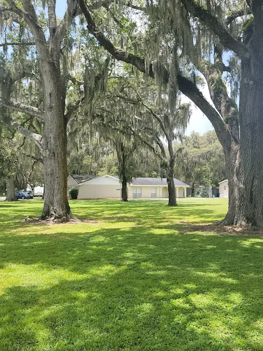 Chateau Forrest and Plantation oaks Picture 3