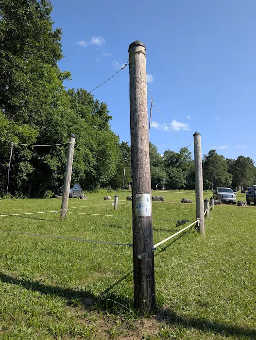 Camp Lewallen Picture 4