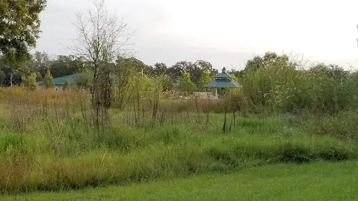 Plantation Oaks Picture 6