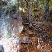 Marble Creek Campground ico