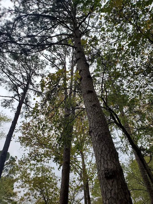 Campground 1 Picture 9