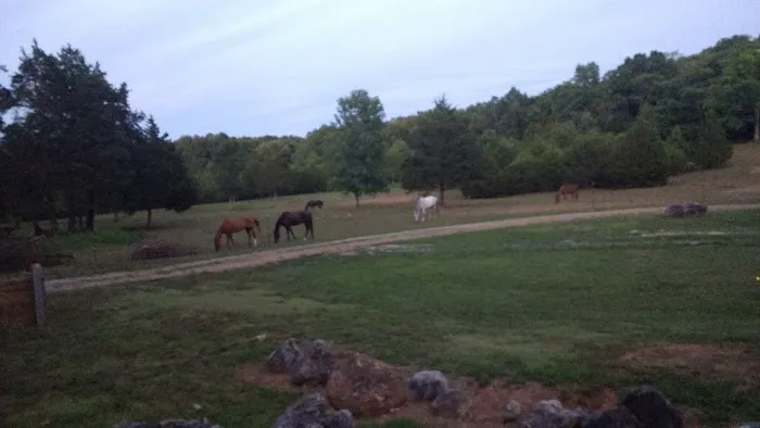 Starner Camping & Stables Picture 5
