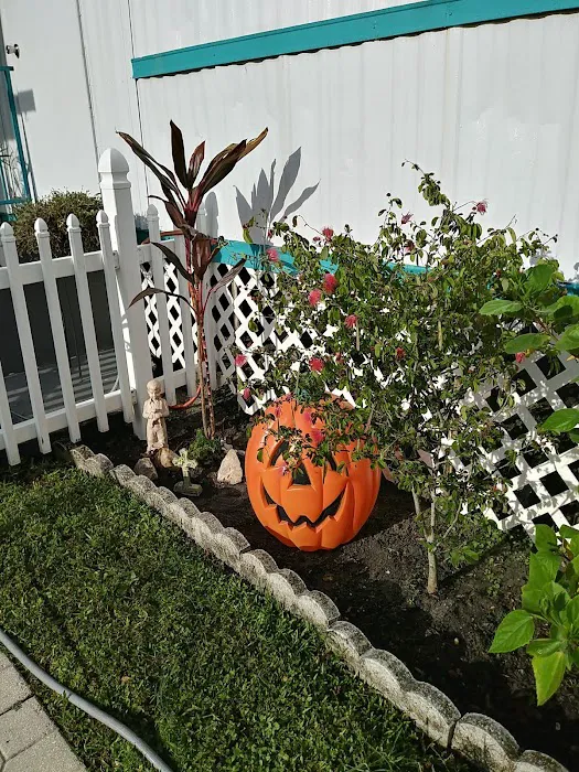 Casa Verde Picture 1