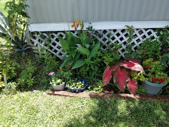 Casa Verde Picture 7