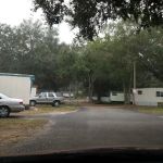 The Woodlands on Clay