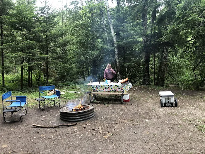 Cedar River North State Forest Campground Picture 9