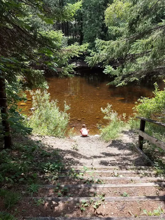 Cedar River North State Forest Campground Picture 2