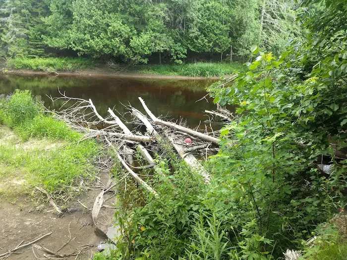 Cedar River North State Forest Campground Picture 1