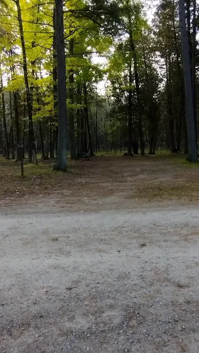 Veterans Park Campground Picture 6
