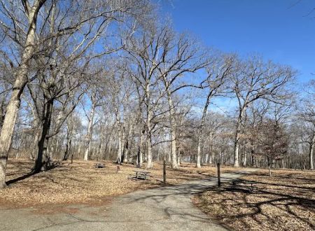 Lake Macbride Southern Campground