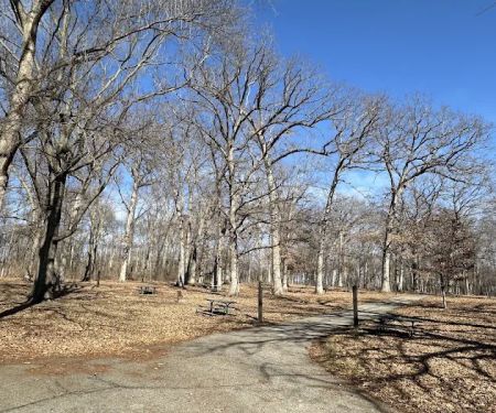 Lake Macbride Southern Campground
