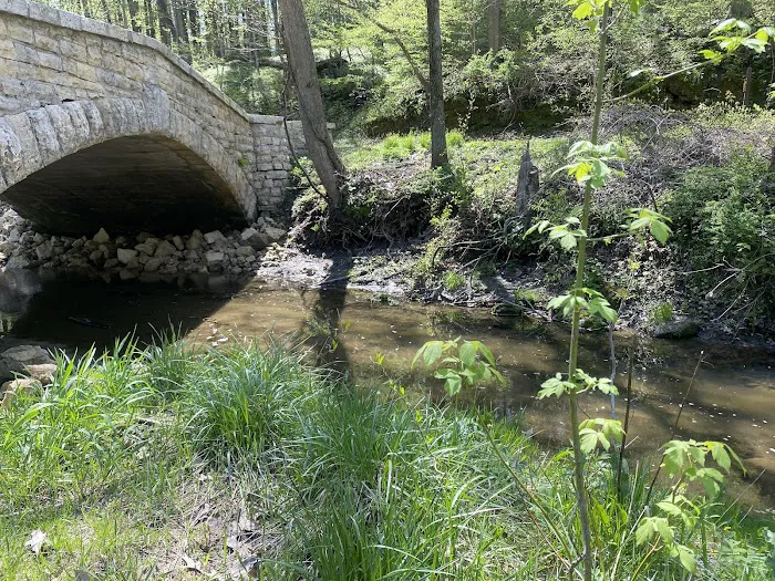Wapsipinicon State Park Campground Picture 6