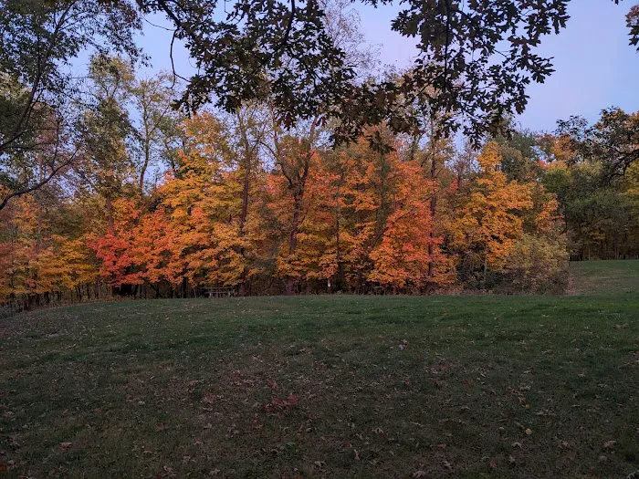 Wapsipinicon State Park Campground Picture 10