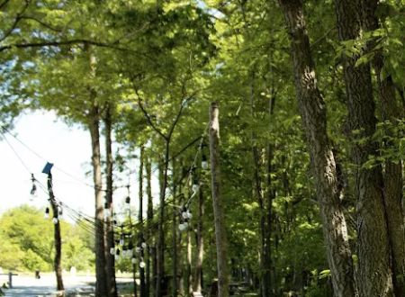 I-49 RV Park