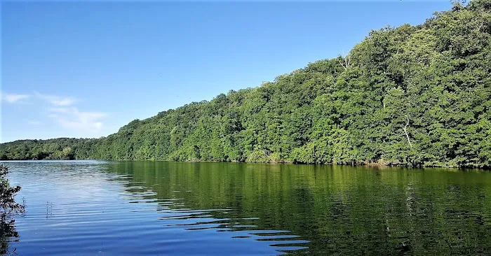 Linn County Park & Marina Store Picture 1