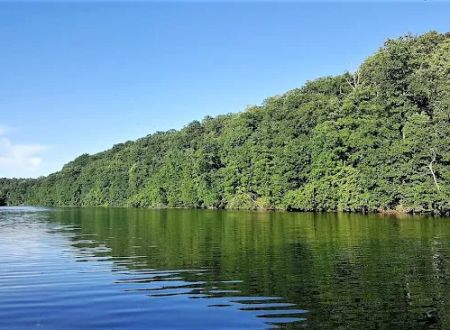 Linn County Park & Marina Store