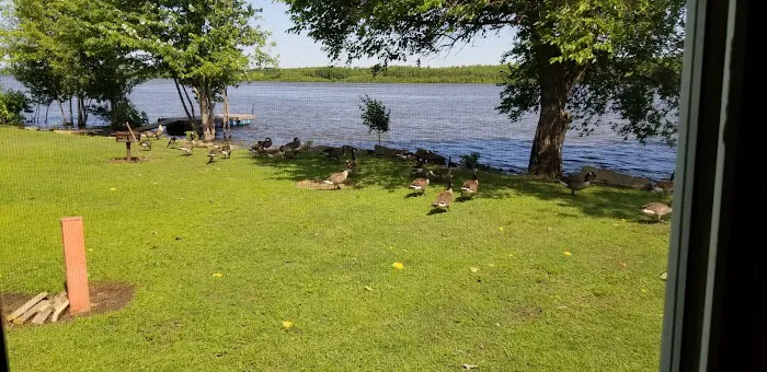 Edge Of The River Resort Picture 8