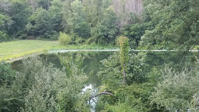 Bitternut Lake Campground Picture 9