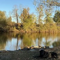 Golden Pond RV Park ico