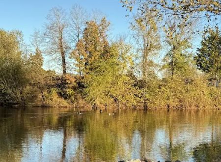 Golden Pond RV Park