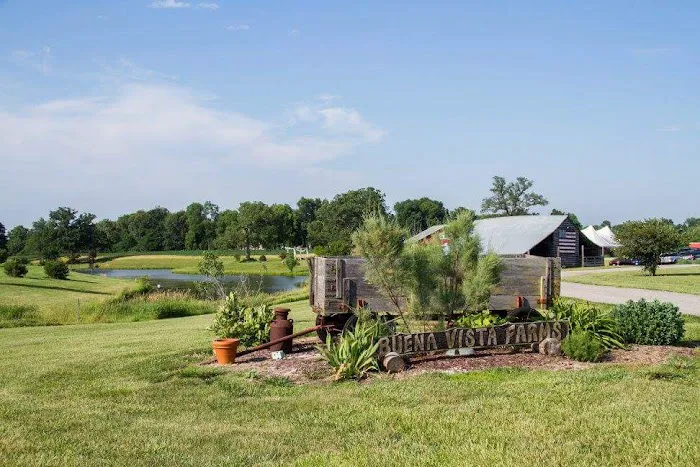 Buena Vista Farms Inc Picture 3