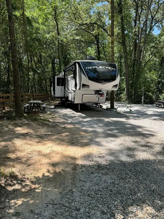 Swanny RV Park & Cabin Rentals Picture 6