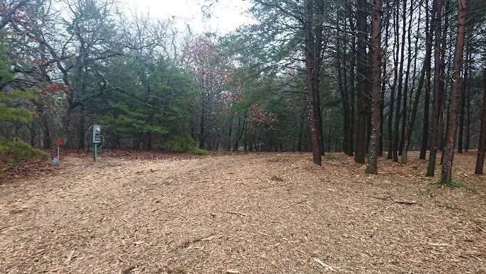 Peacock Pines RV Park Picture 6