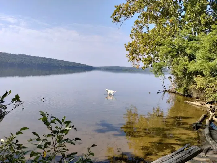 Peacock Pines RV Park Picture 1