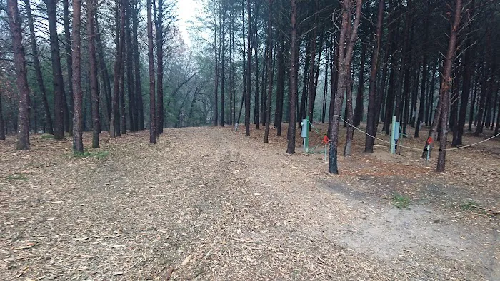 Peacock Pines RV Park Picture 2